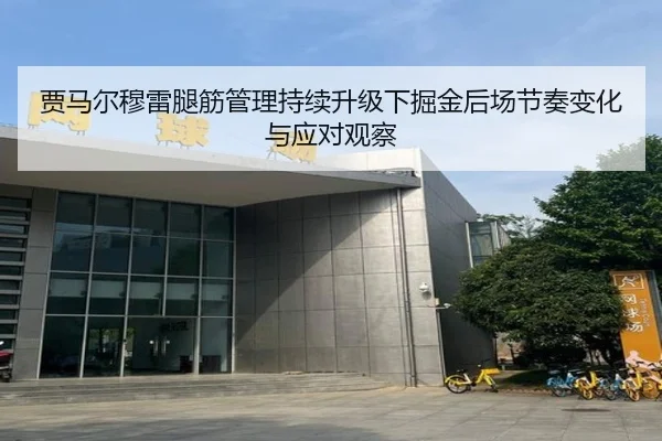 贾马尔穆雷腿筋管理持续升级下掘金后场节奏变化与应对观察