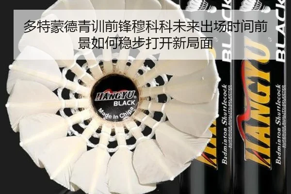 多特蒙德青训前锋穆科科未来出场时间前景如何稳步打开新局面 - okooo