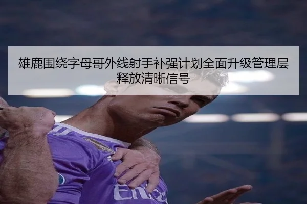 雄鹿围绕字母哥外线射手补强计划全面升级管理层释放清晰信号（okooo）